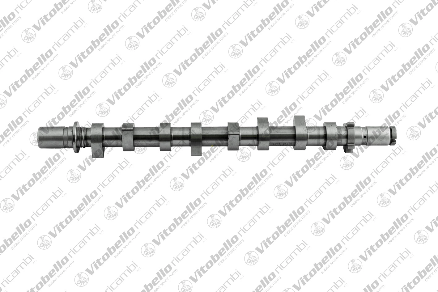 Camshaft (19098NO)