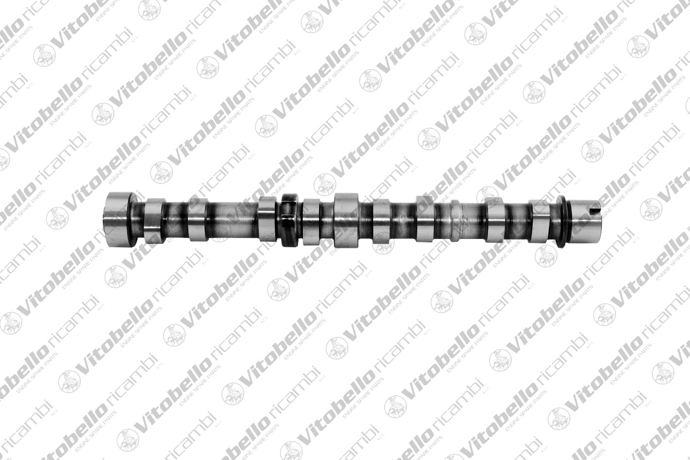 Camshaft (1000645N)