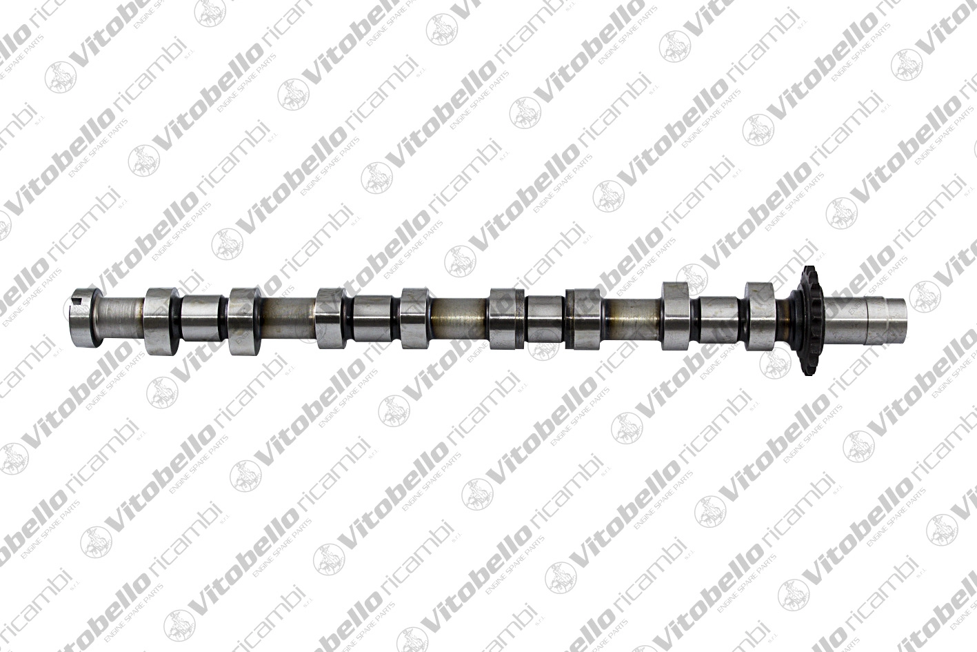 Camshaft (1000915N)