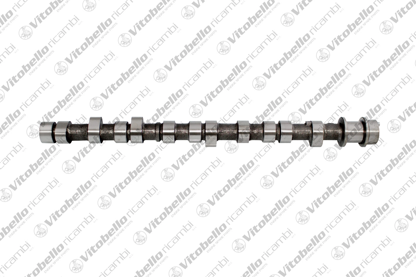 Camshaft (1000032N)
