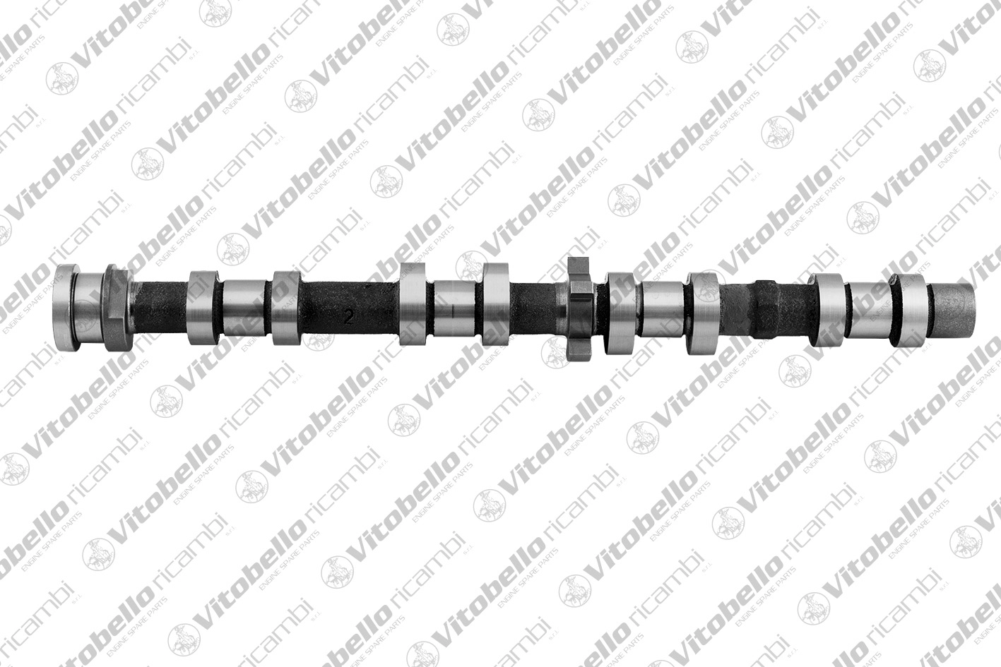 Camshaft (1002680N)