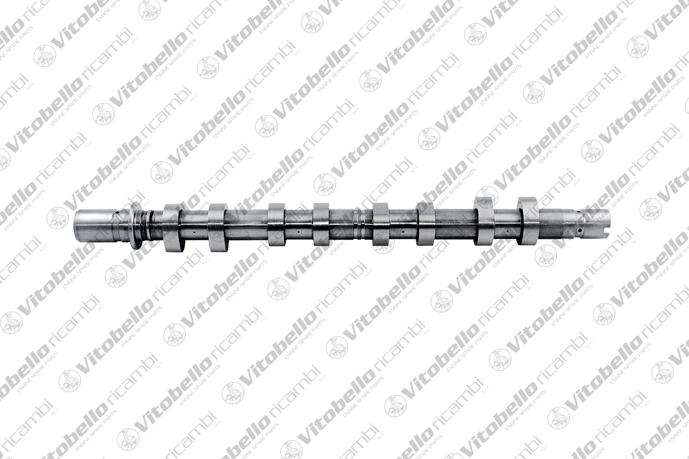 Camshaft (19093NO)