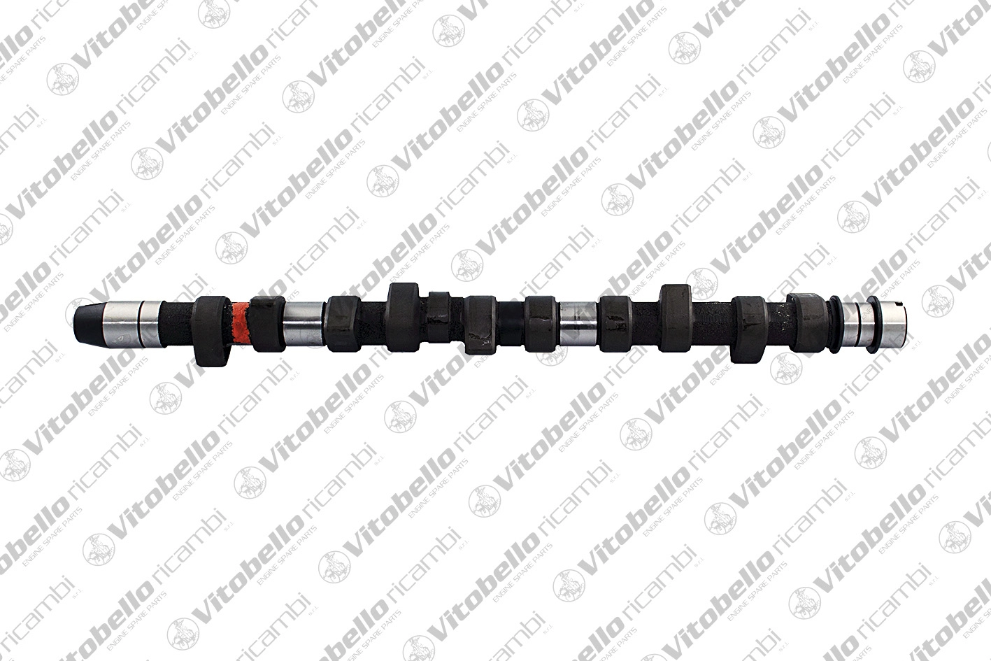Camshaft (18204N)