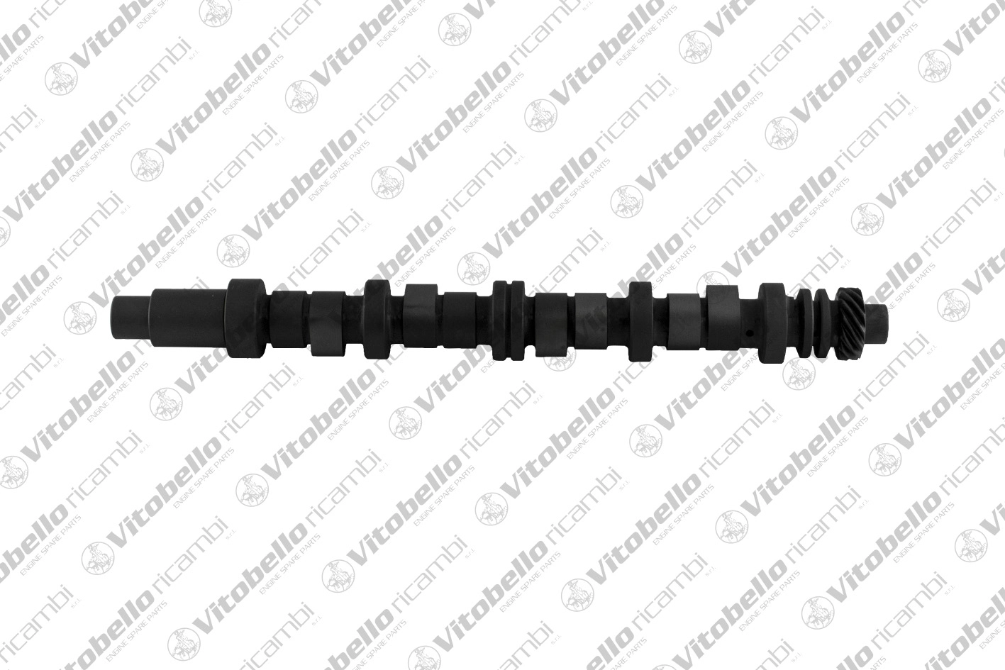 Camshaft (11010N)
