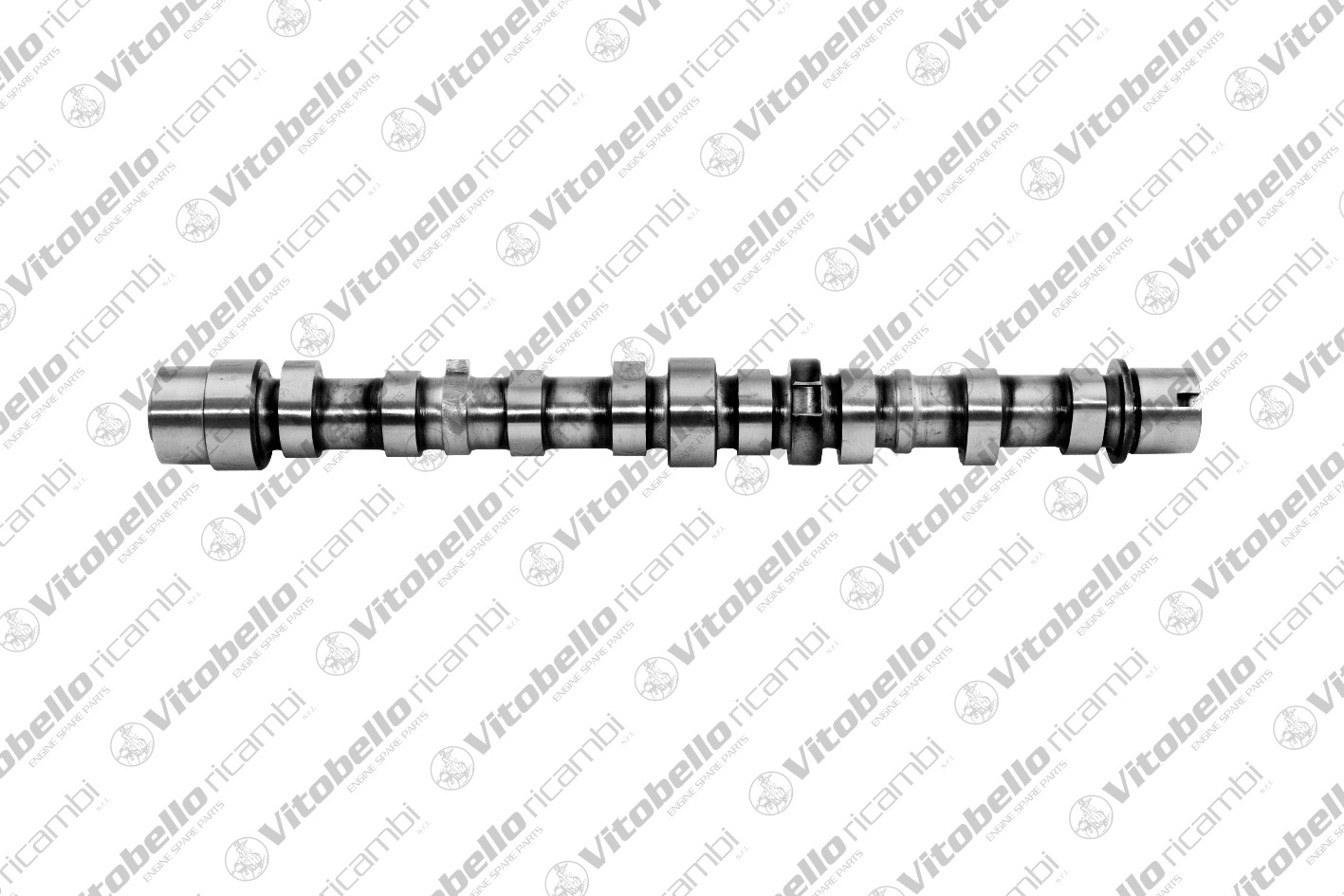 Camshaft (1000646N)