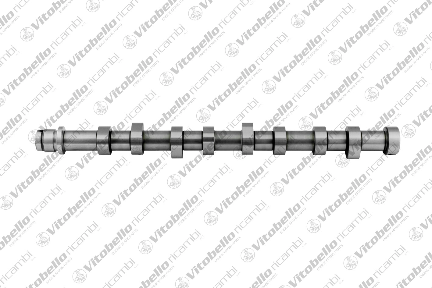 Camshaft (1002199N)
