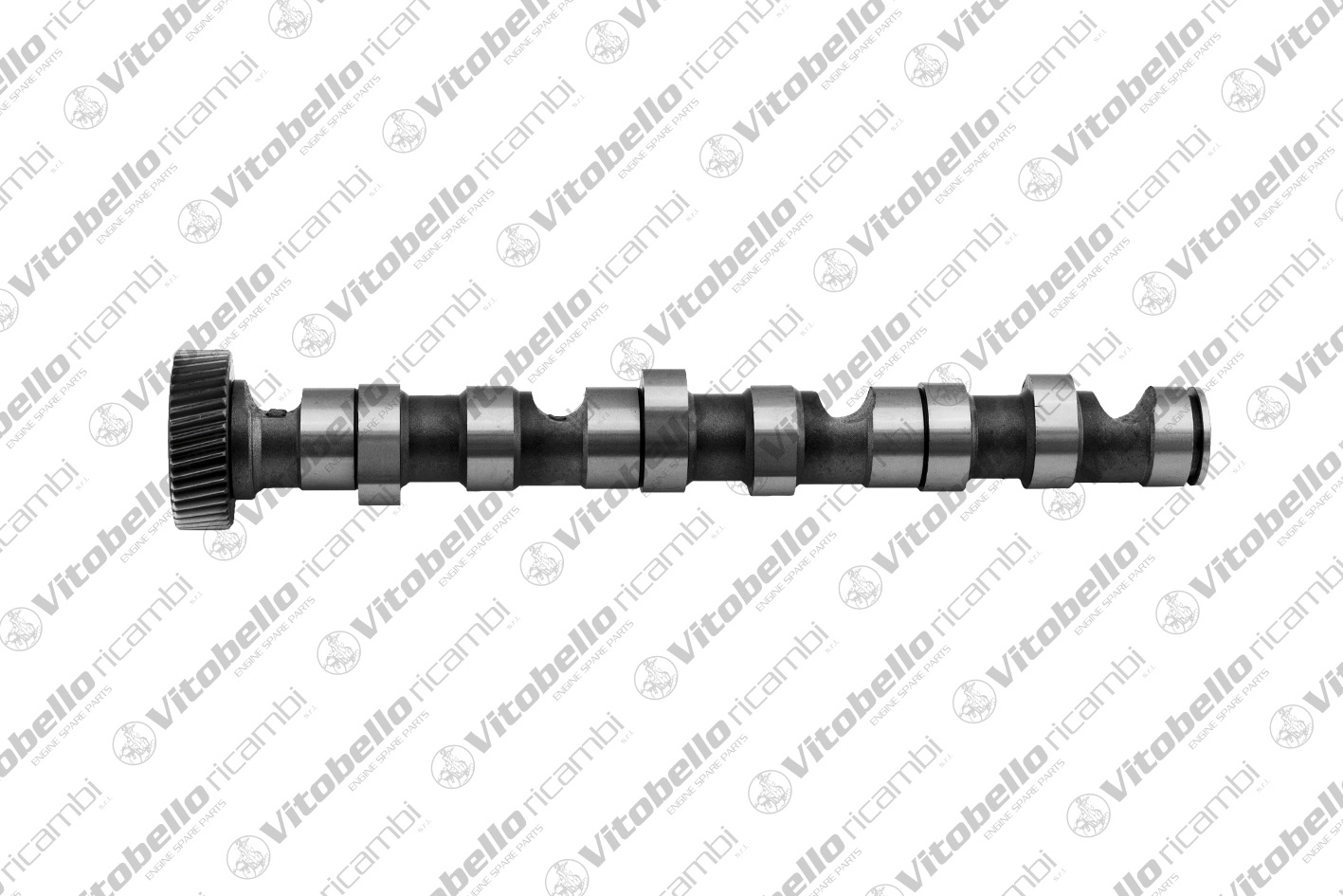 Camshaft (1001456N)