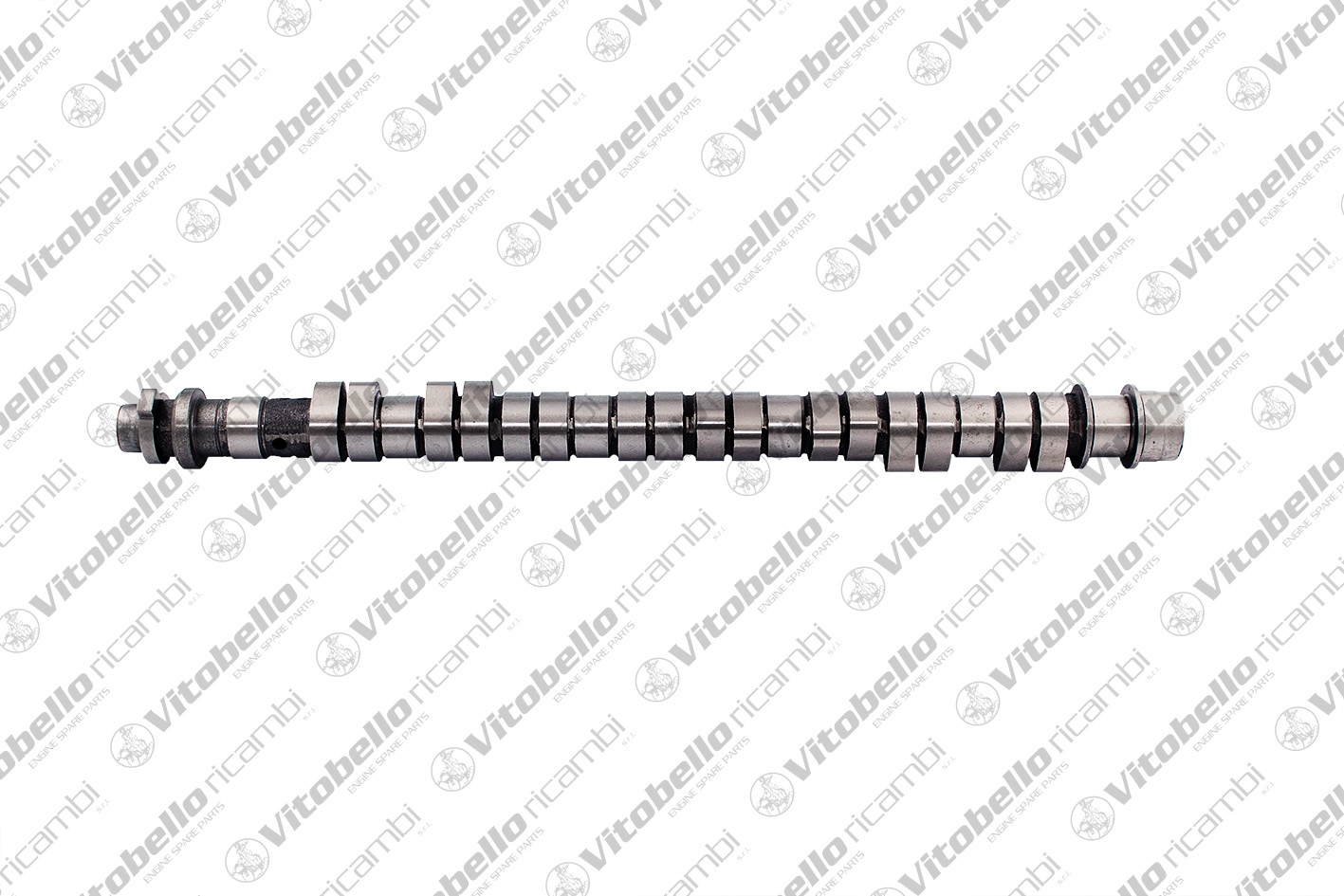 Camshaft (11002N)