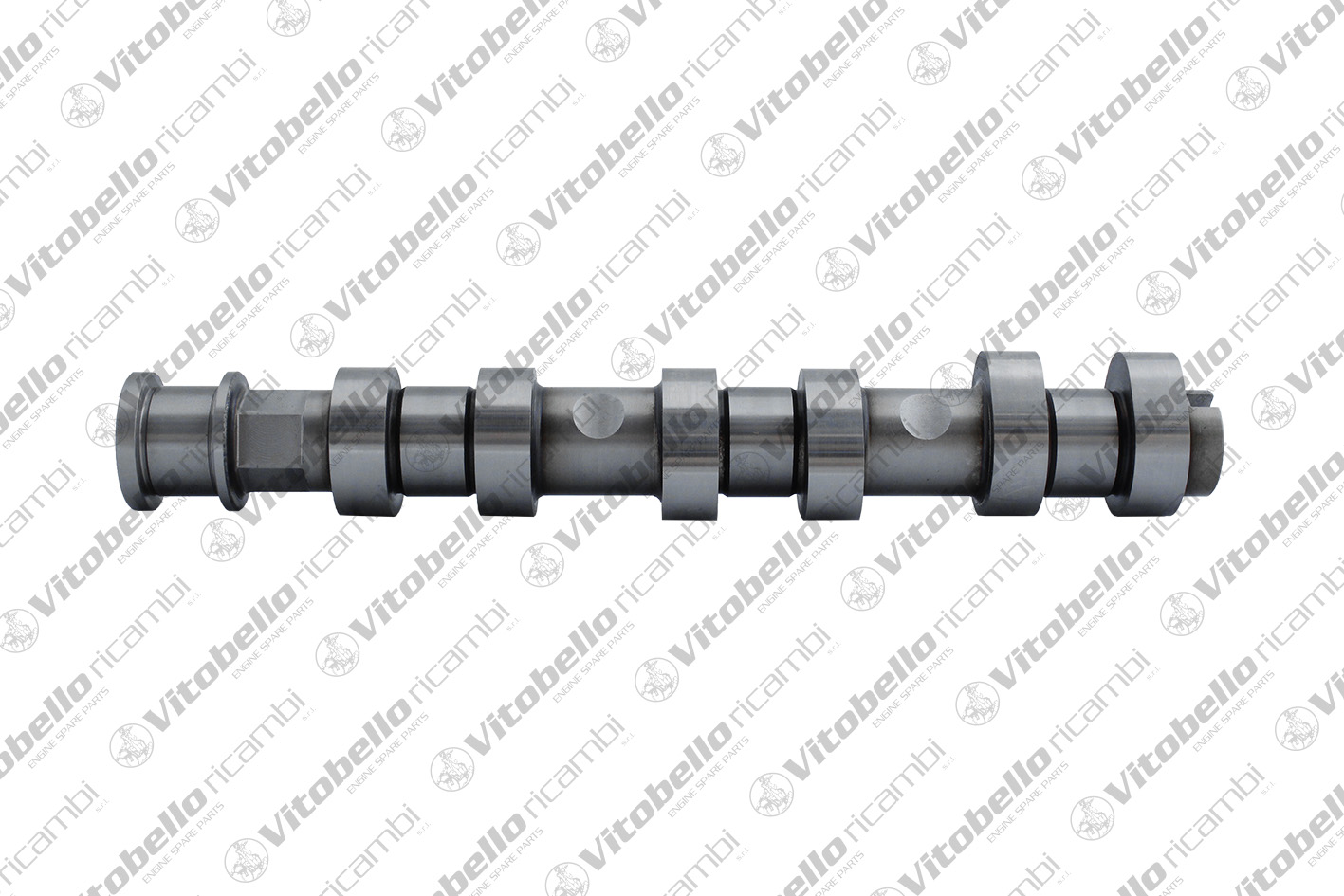 Camshaft (1001623N)