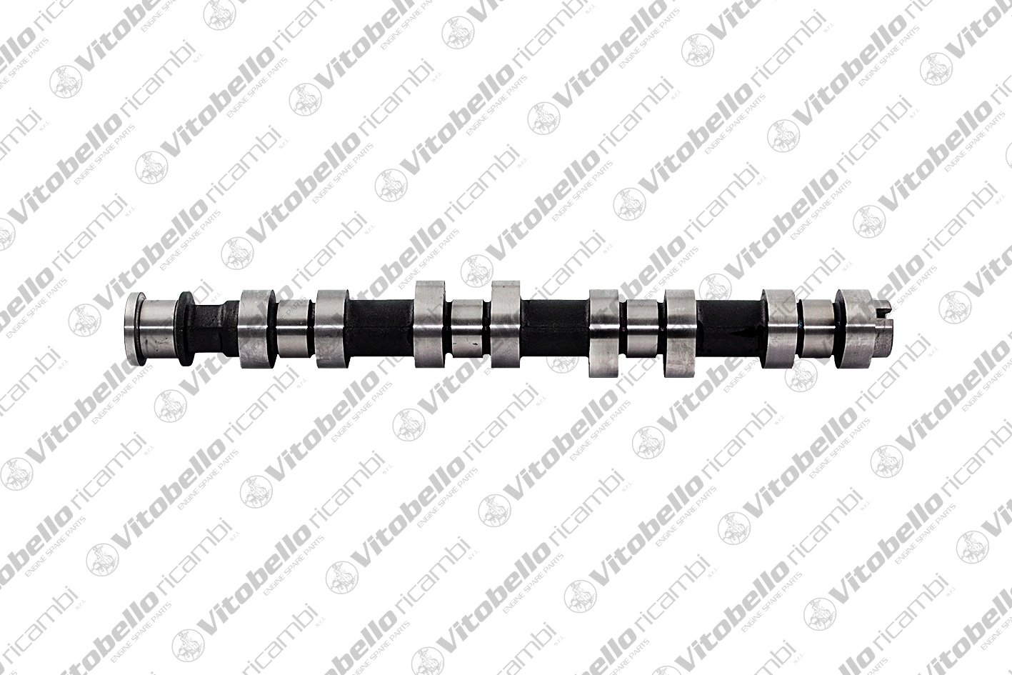 Camshaft (11038N)