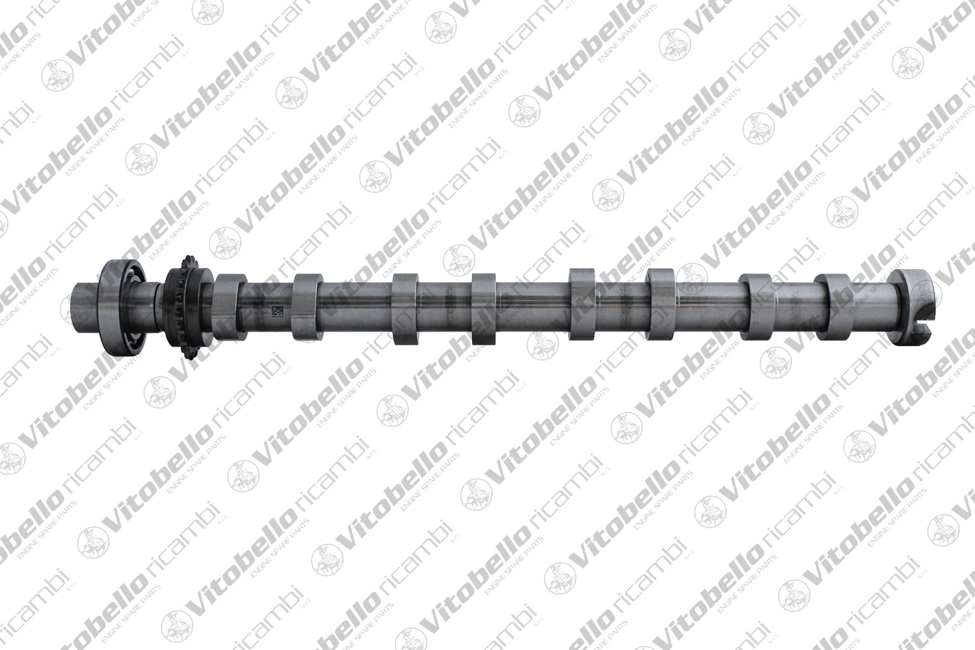 Camshaft (1004399NO)