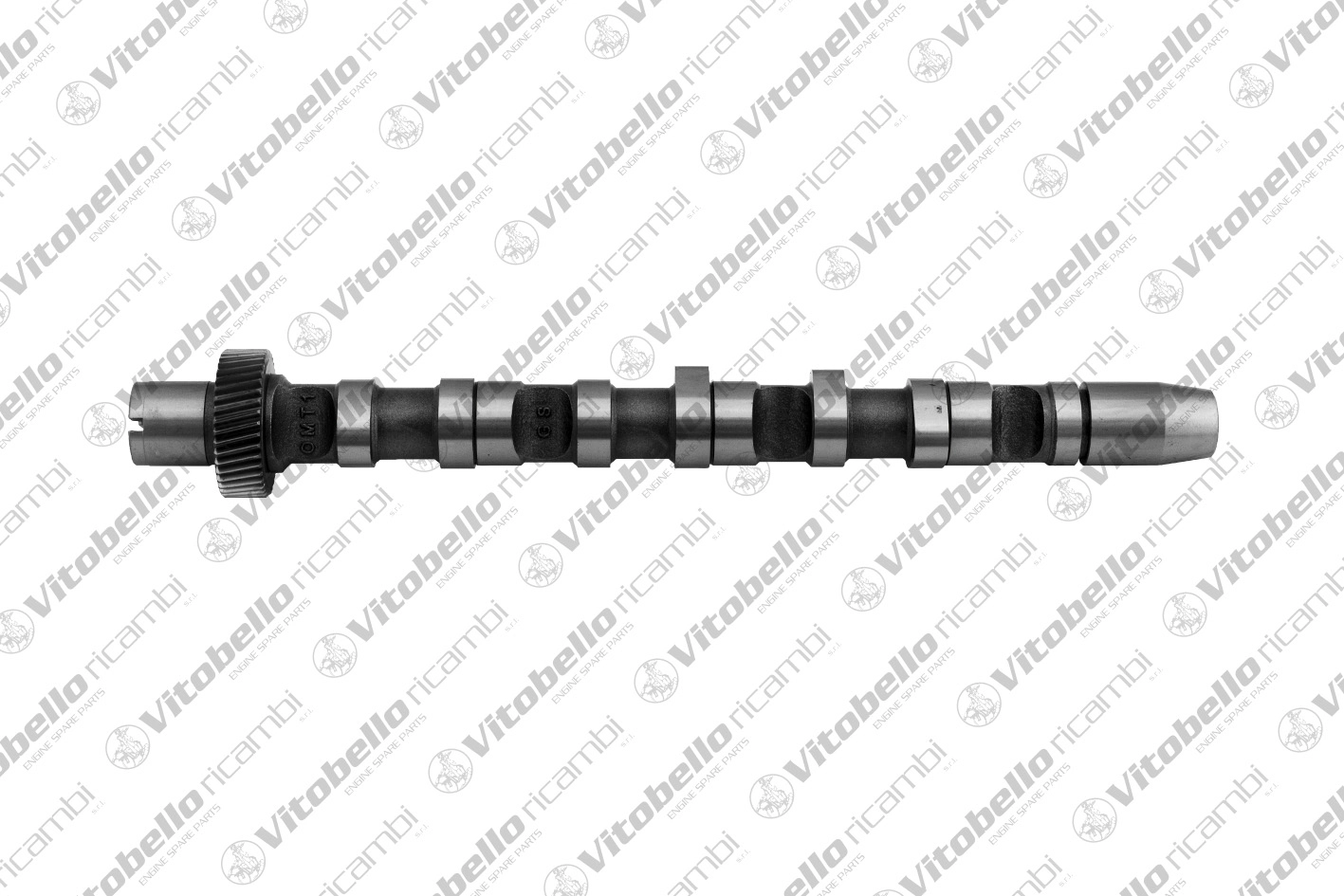 Camshaft (1002380N)