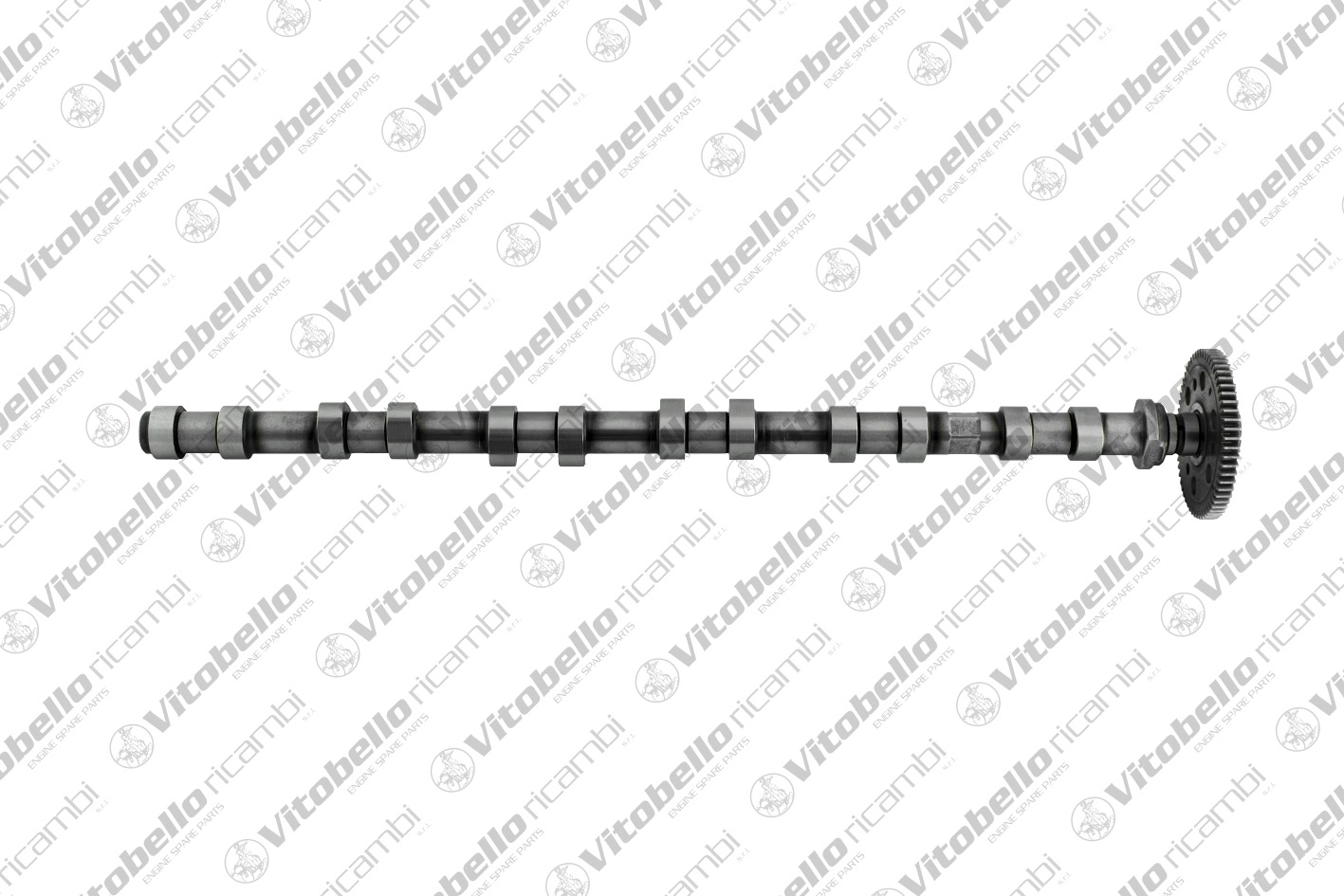 Camshaft (1002412N)