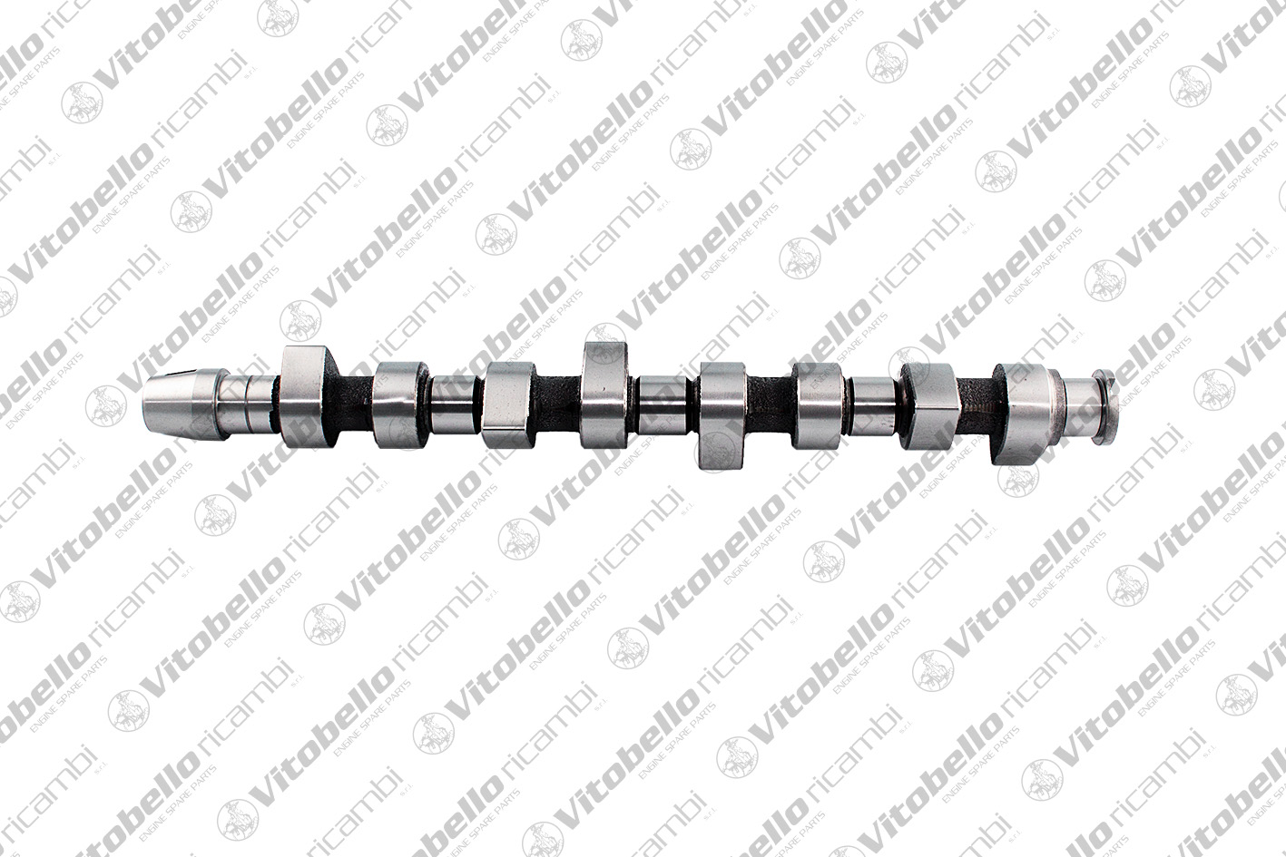 Camshaft (11005N)