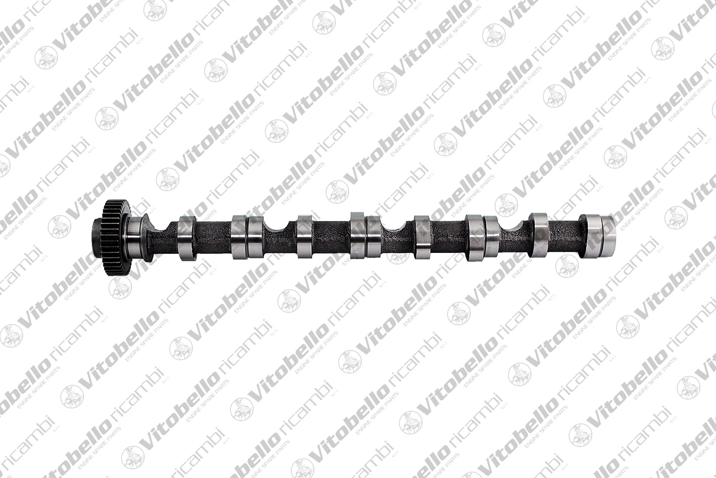Camshaft (18448N)