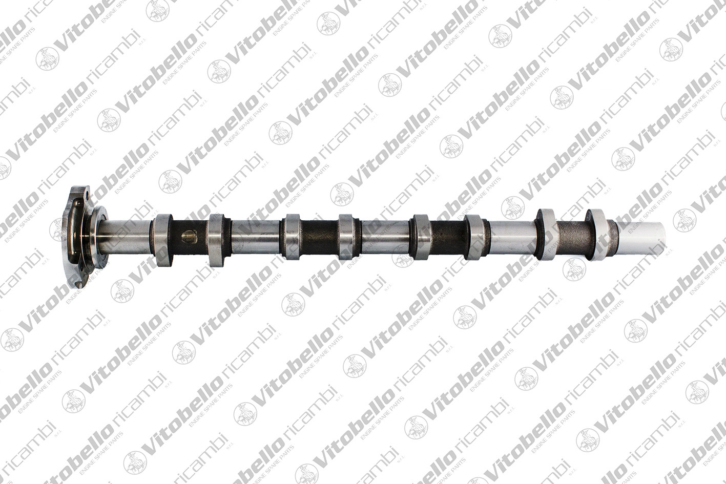 Camshaft (17490N)