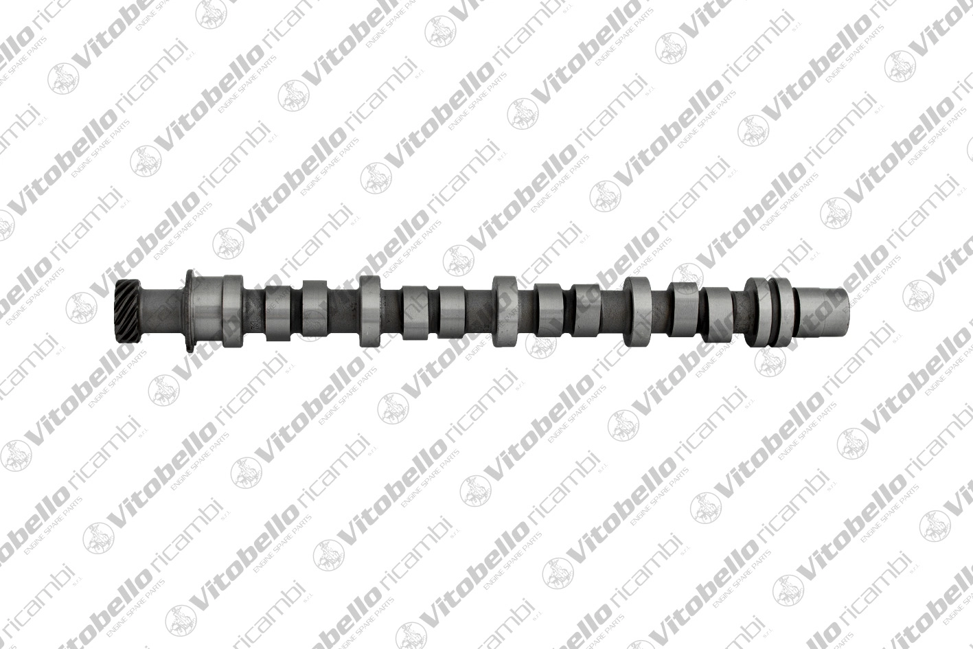 Camshaft (1002273N)