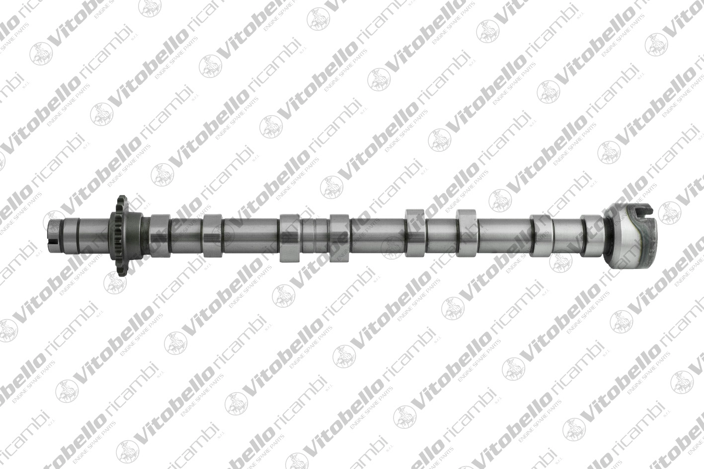 Camshaft (1003304N)