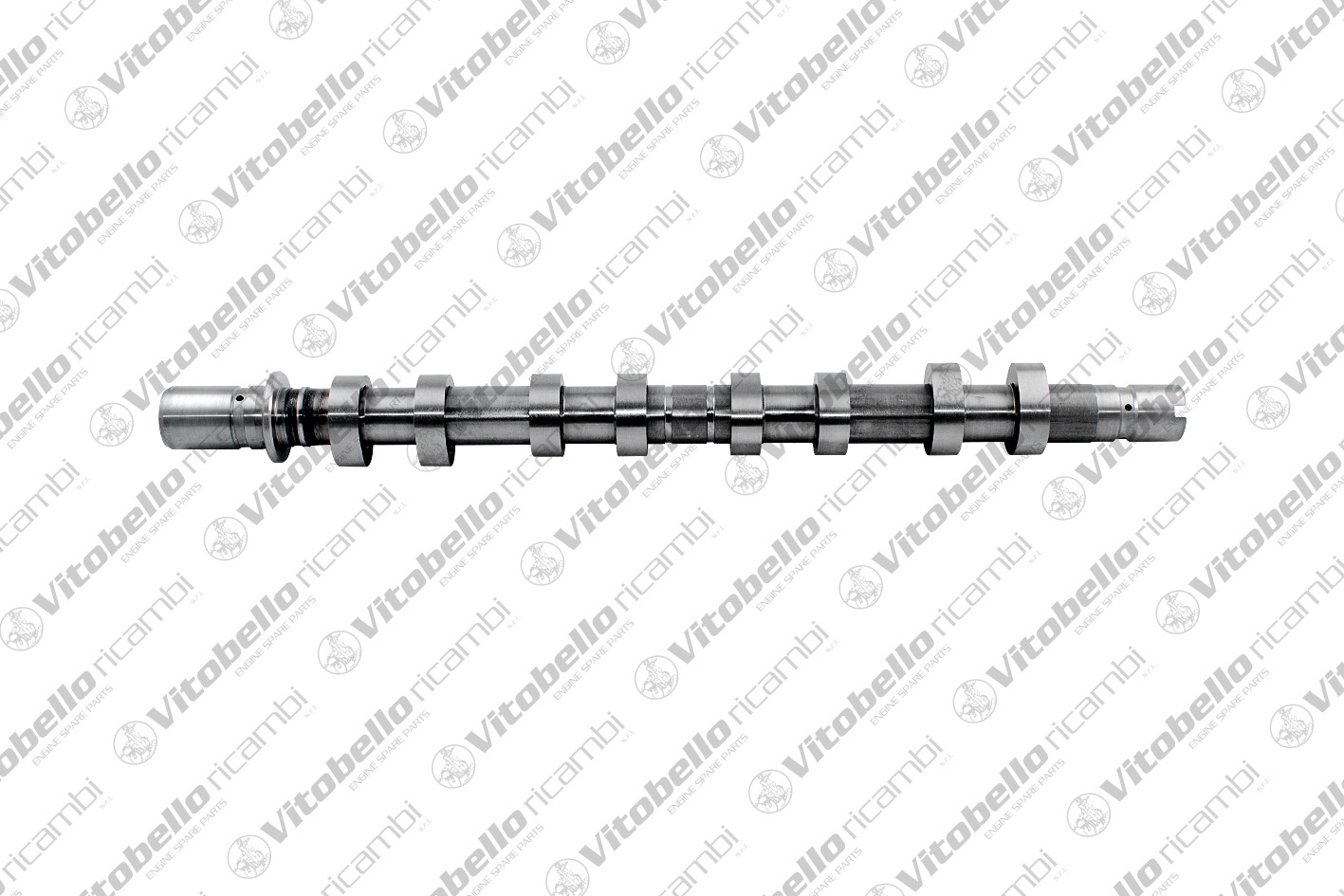 Camshaft (19094NO)