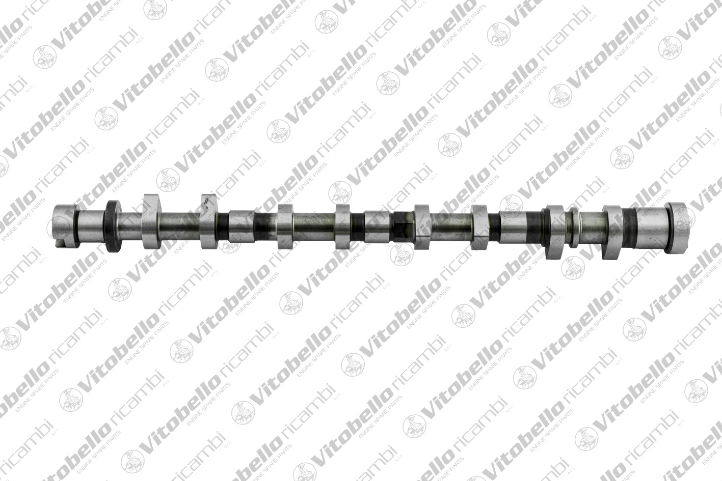 Camshaft (1000243N)