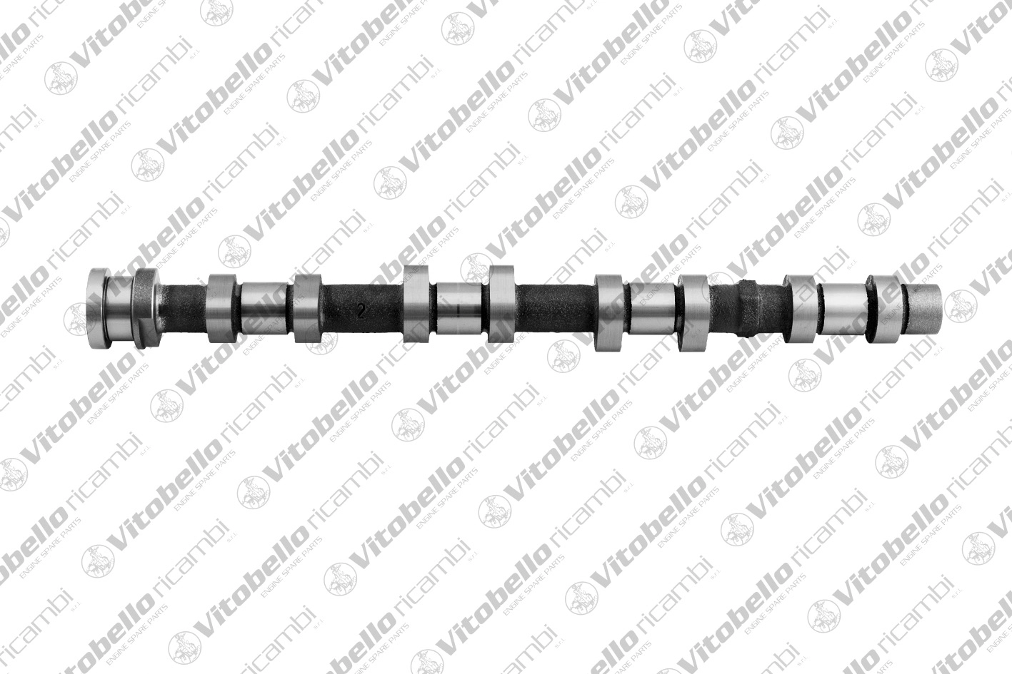 Camshaft (1002679N)