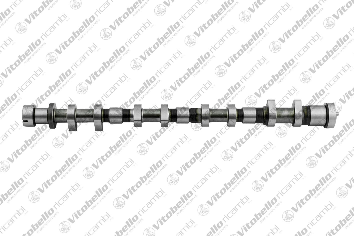 Camshaft (1000244N)