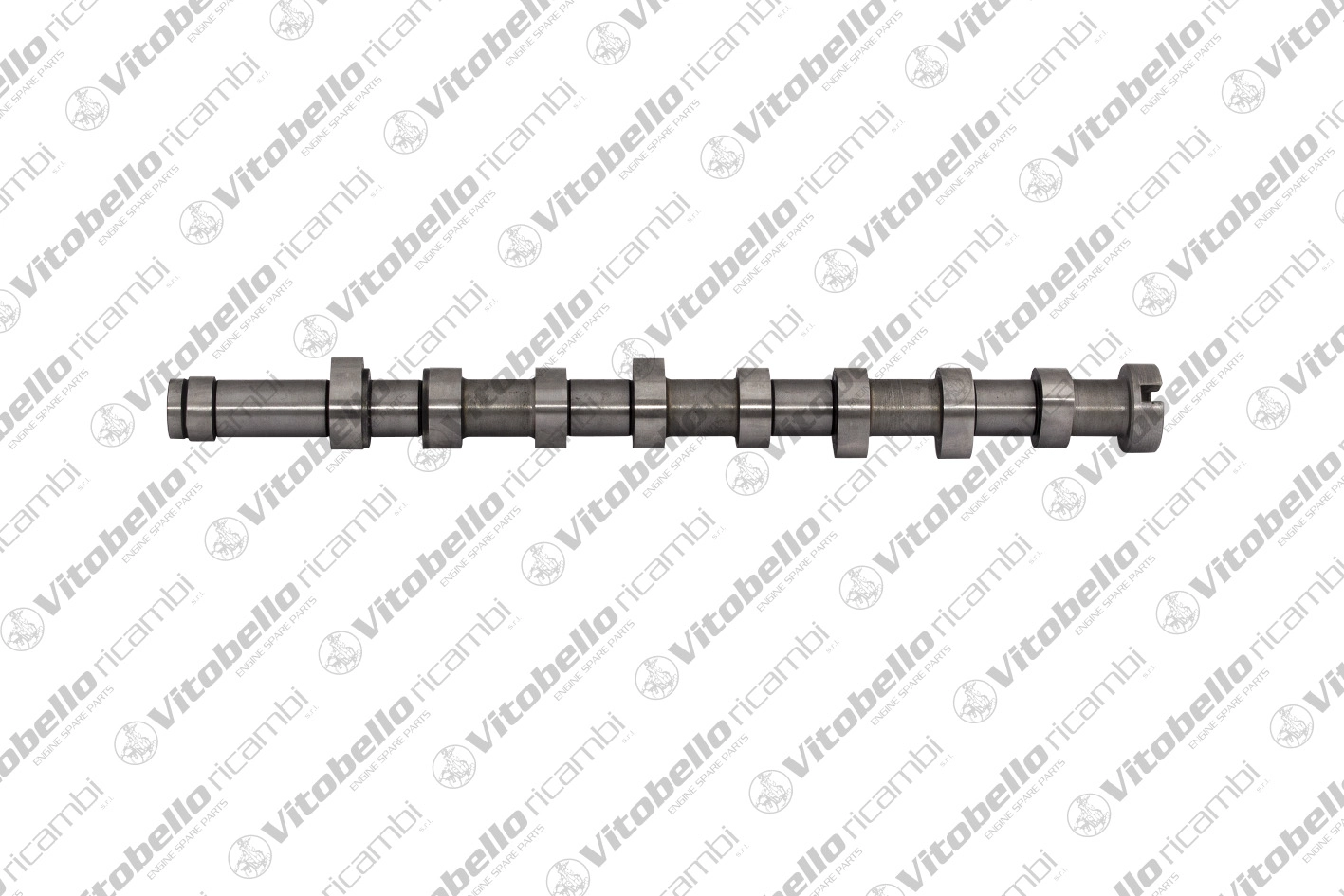 Camshaft (1000962N)