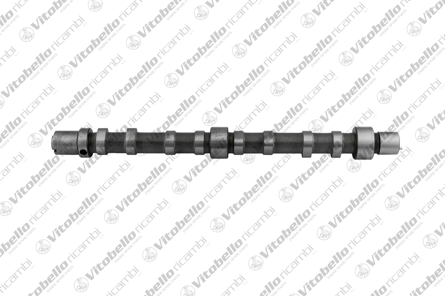 Camshaft (1002207N)