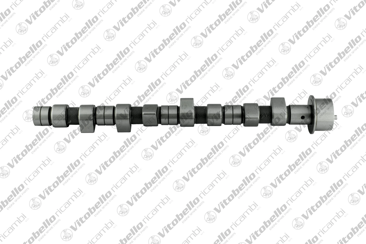 Camshaft (1000954N)