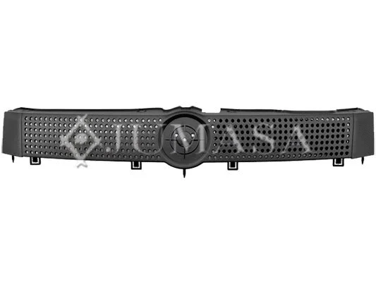 Radiator Grille