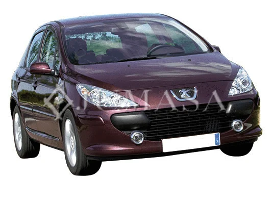 Exterior Mirror