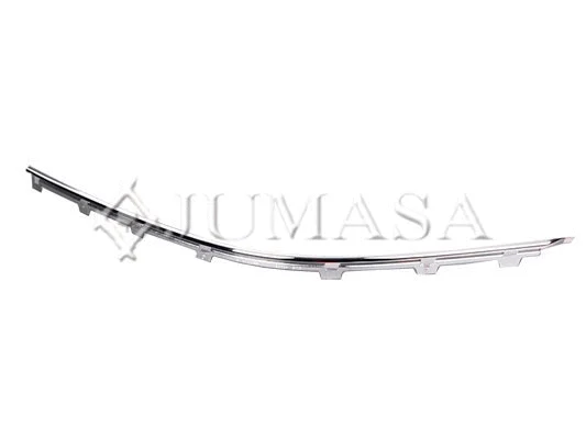 Trim/Protection Strip, bumper
