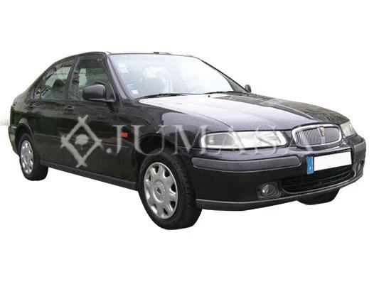 Radiator Grille (21000321)