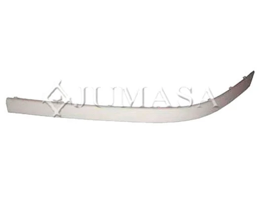 Trim/Protection Strip, bumper