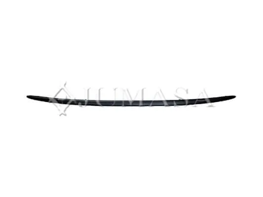 Trim/Protection Strip, bumper
