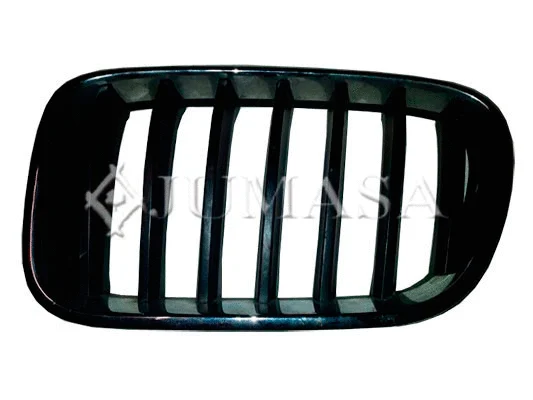 Radiator Grille
