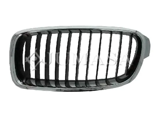 Radiator Grille