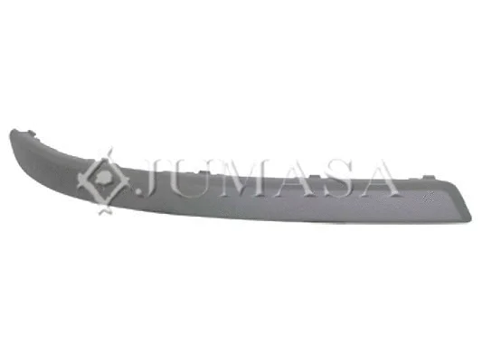 Trim/Protection Strip, bumper