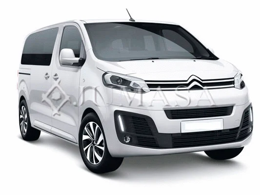 Exterior Mirror (54621066)