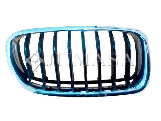 Radiator Grille
