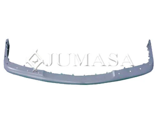 Trim/Protection Strip, bumper
