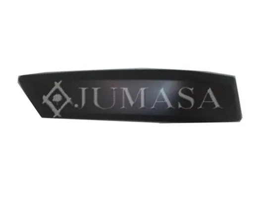 Trim/Protection Strip, bumper