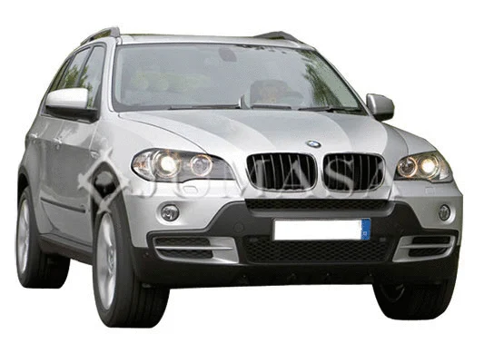 Front Fog Light (39010570)
