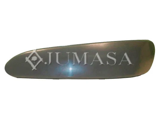 Trim/Protection Strip, bumper