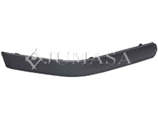 Trim/Protection Strip, bumper