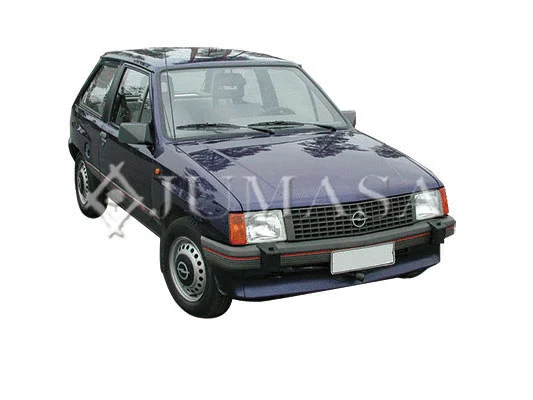 Exterior Mirror (54013010)