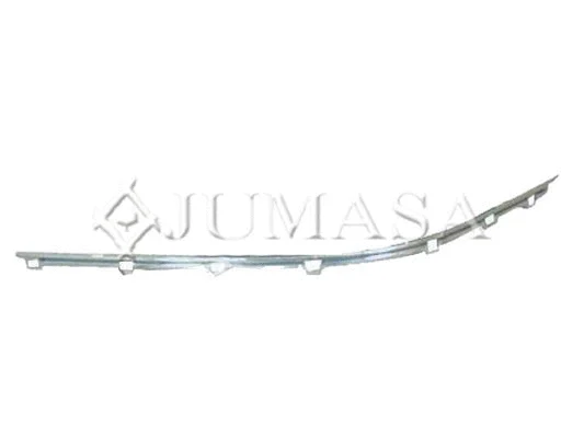 Trim/Protection Strip, bumper