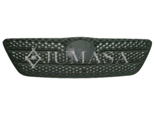 Radiator Grille