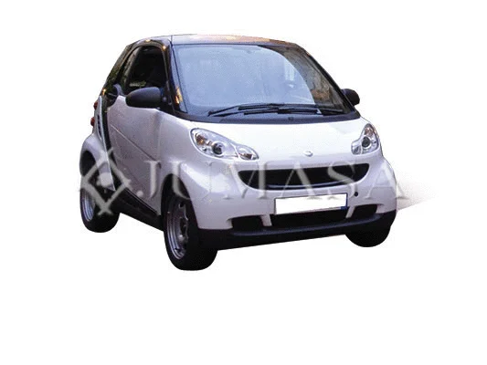 Exterior Mirror (54214604)