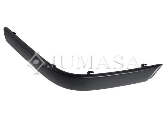 Trim/Protection Strip, bumper
